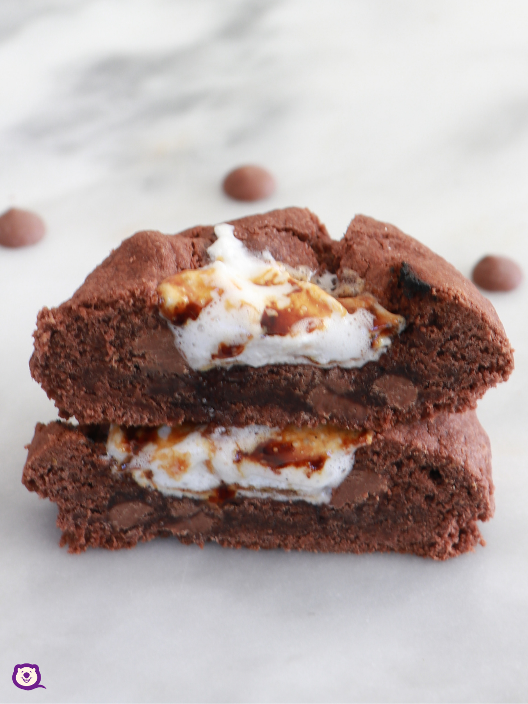HOT CHOCOLATE COOKIE
