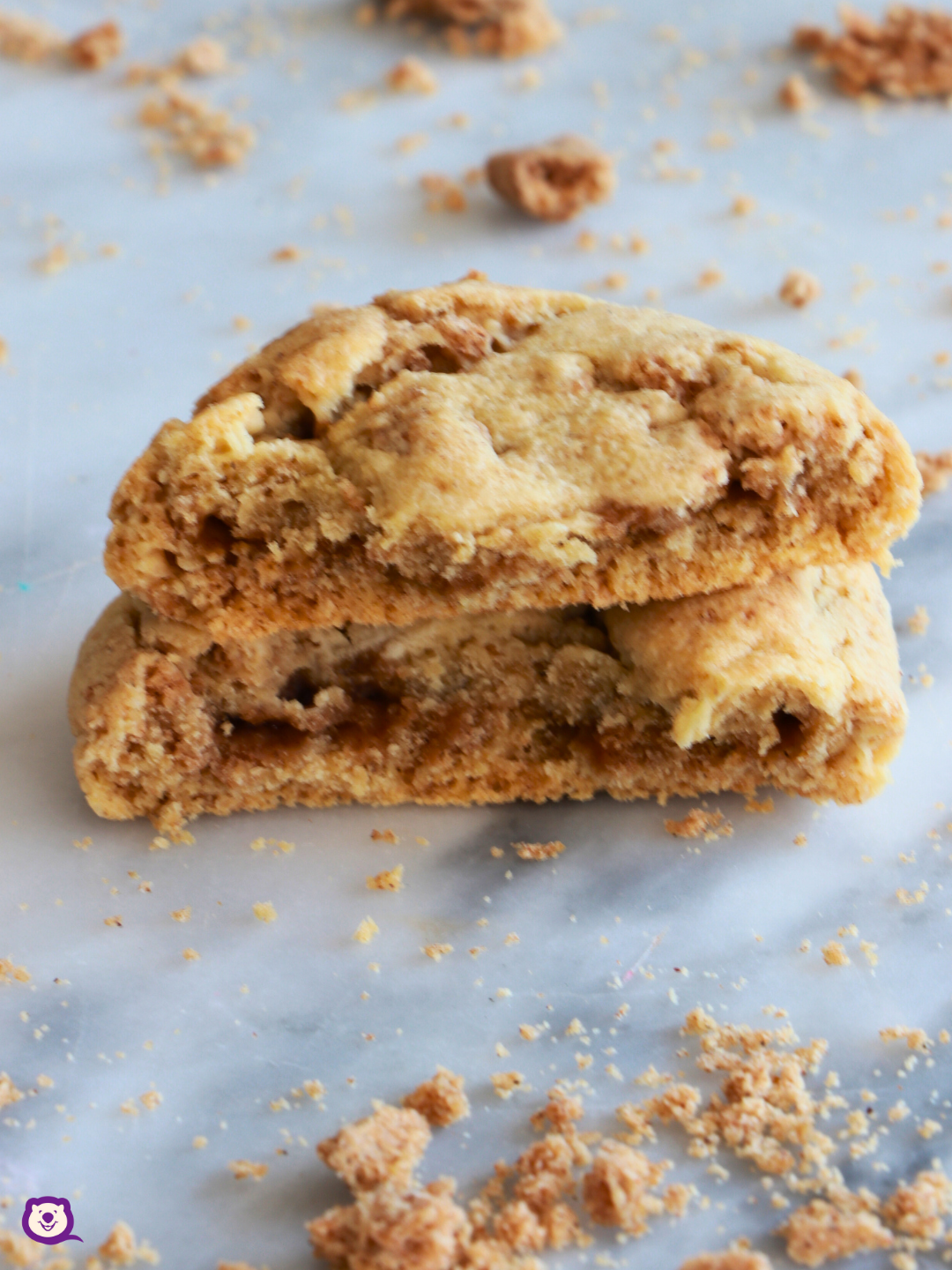 "BISCOFF" COOKIE [DAIRY FREE]