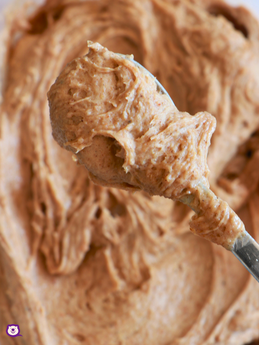 "BISCOFF" COOKIE [DAIRY FREE]