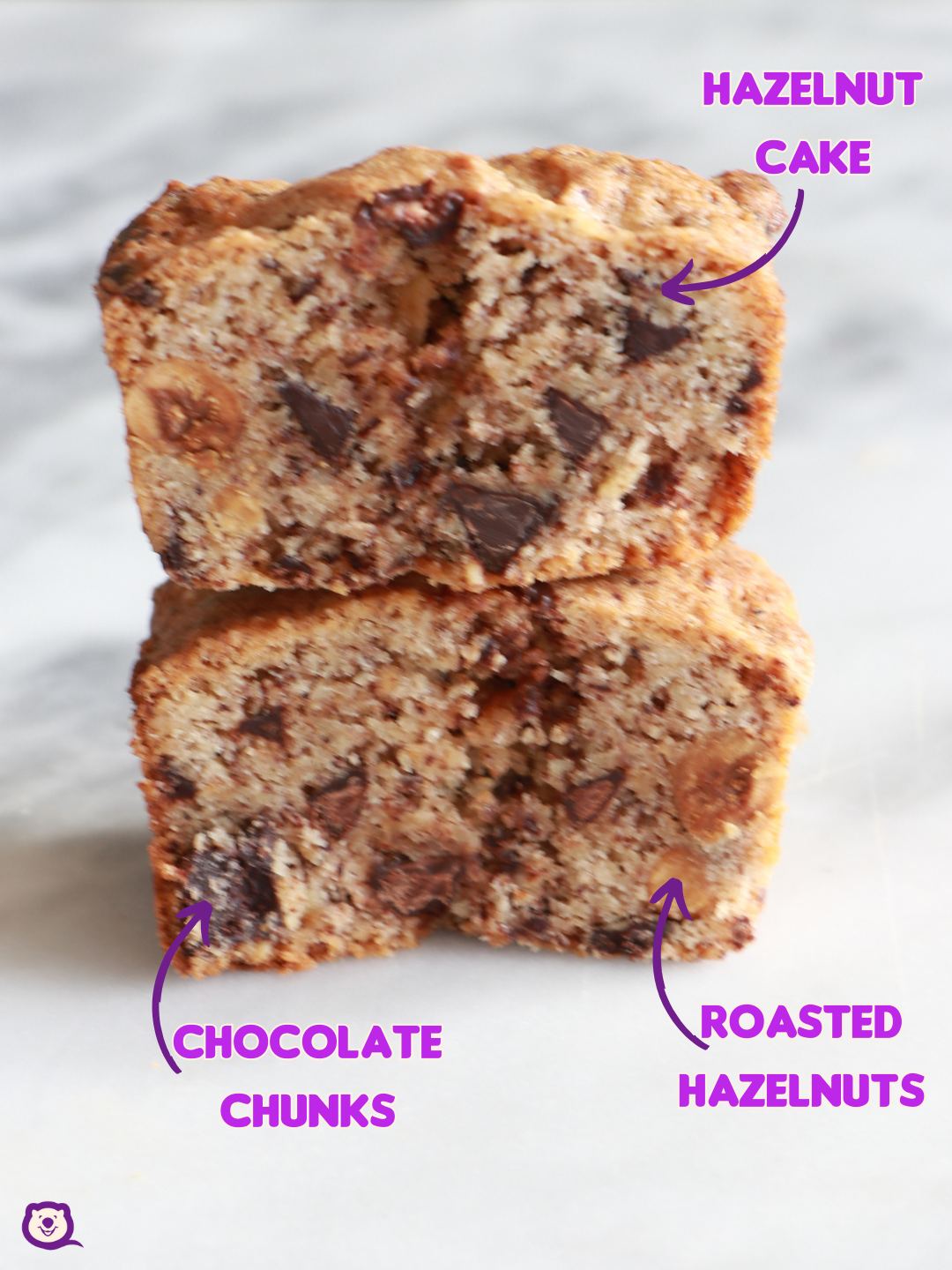 CHOCOLATE AND HAZELNUT CAKE [SHIPPING AUS-WIDE AND PICKUP]