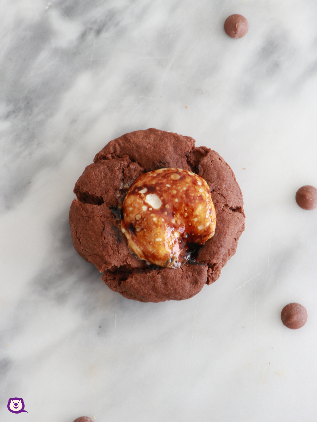 HOT CHOCOLATE COOKIE
