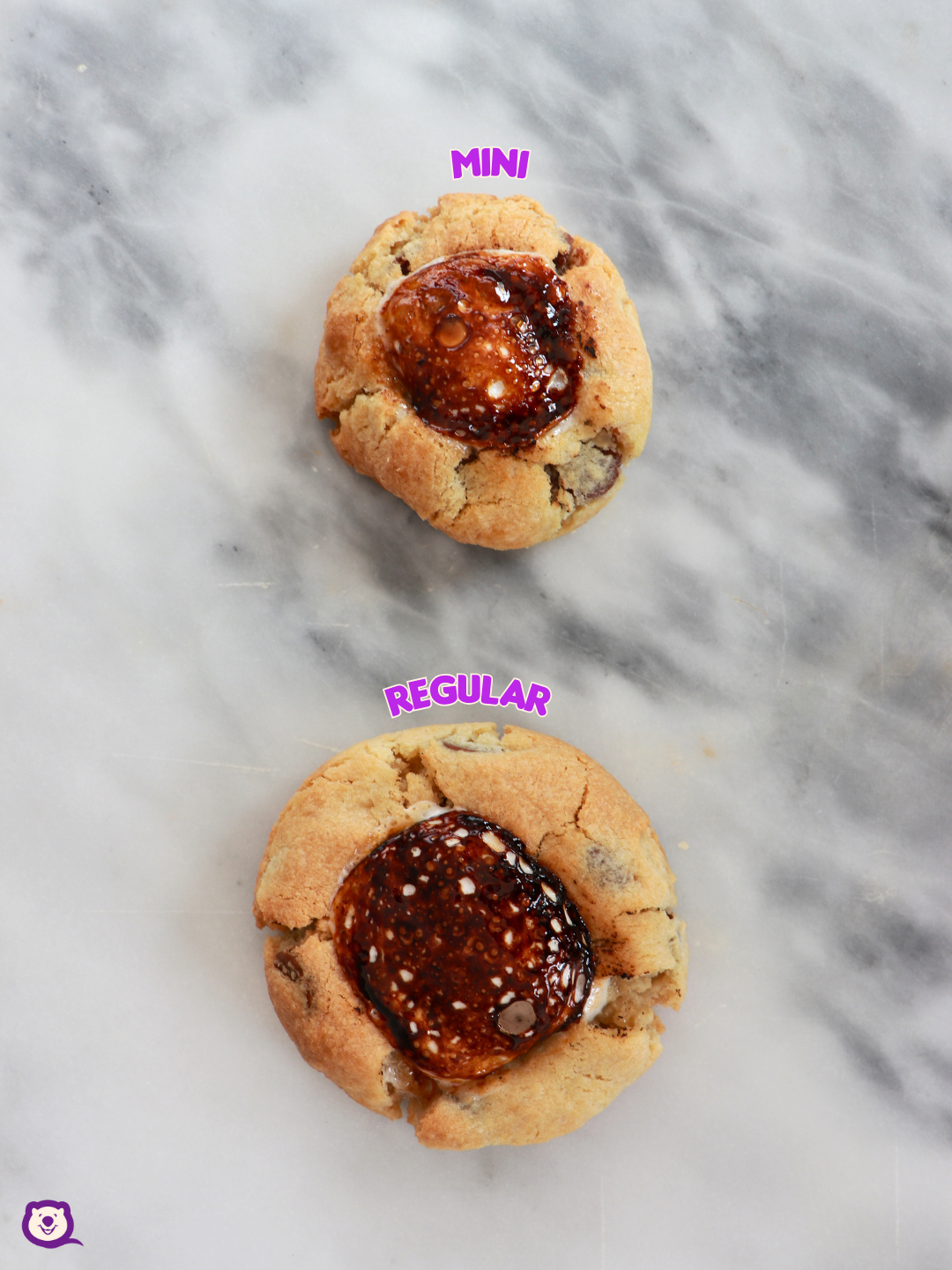 MINI COOKIE SELECTION BOX
